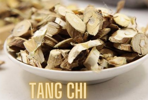 Tang Chi là gì? Công dụng của tang chi đối với sức khỏe